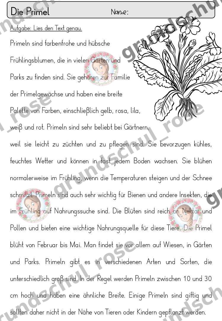 Materialvorschau, Seite 38