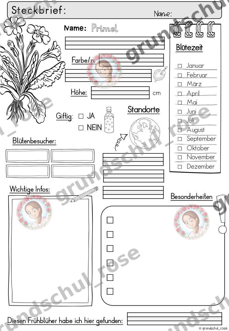 Materialvorschau, Seite 39