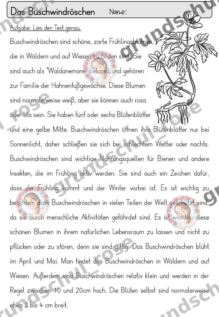Materialvorschau, Seite 4