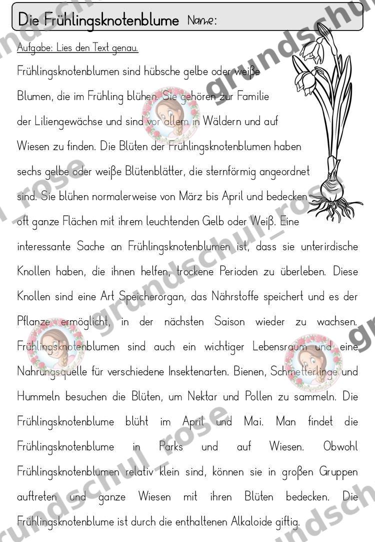 Materialvorschau, Seite 6