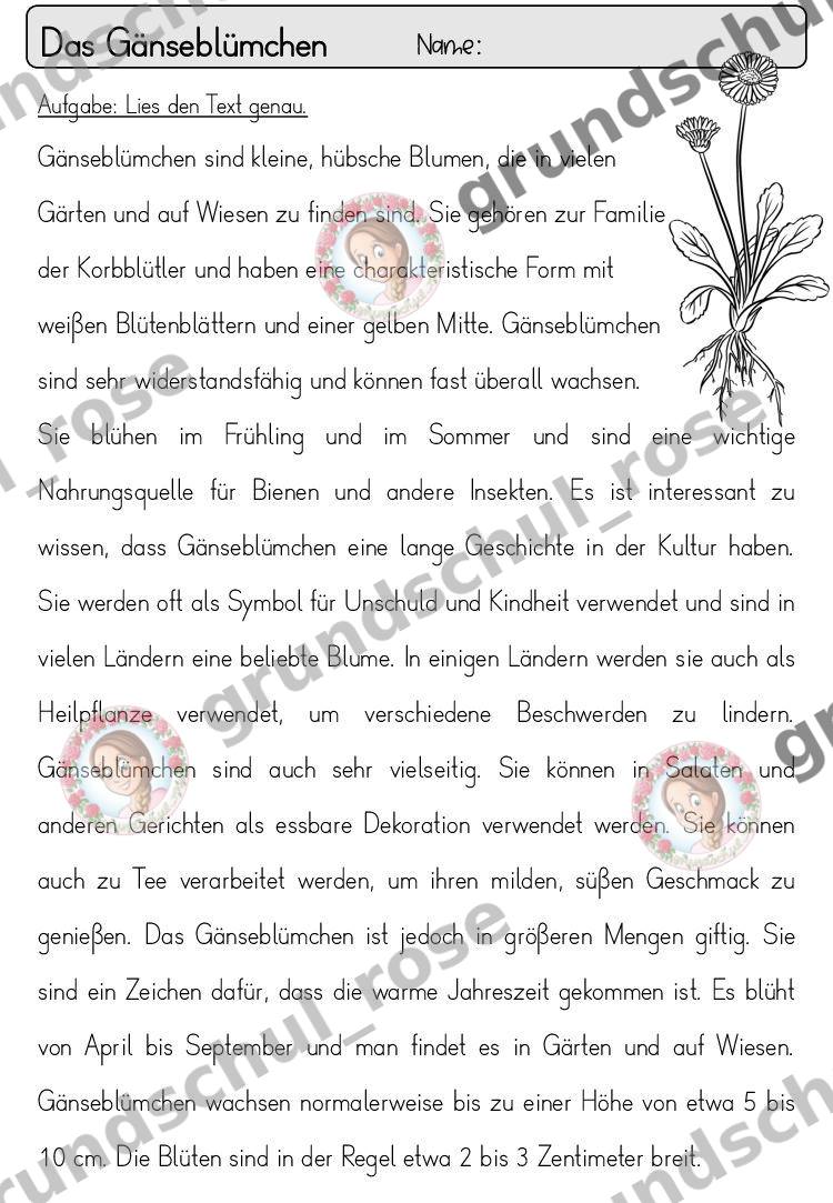 Materialvorschau, Seite 8