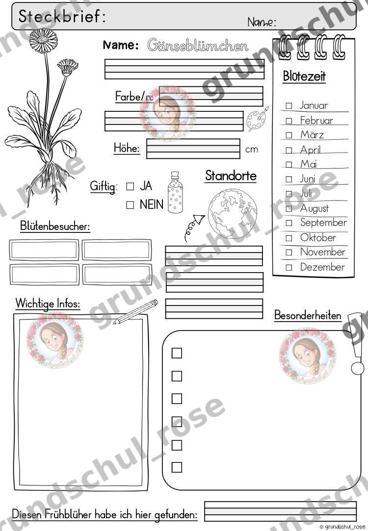 Materialvorschau, Seite 9