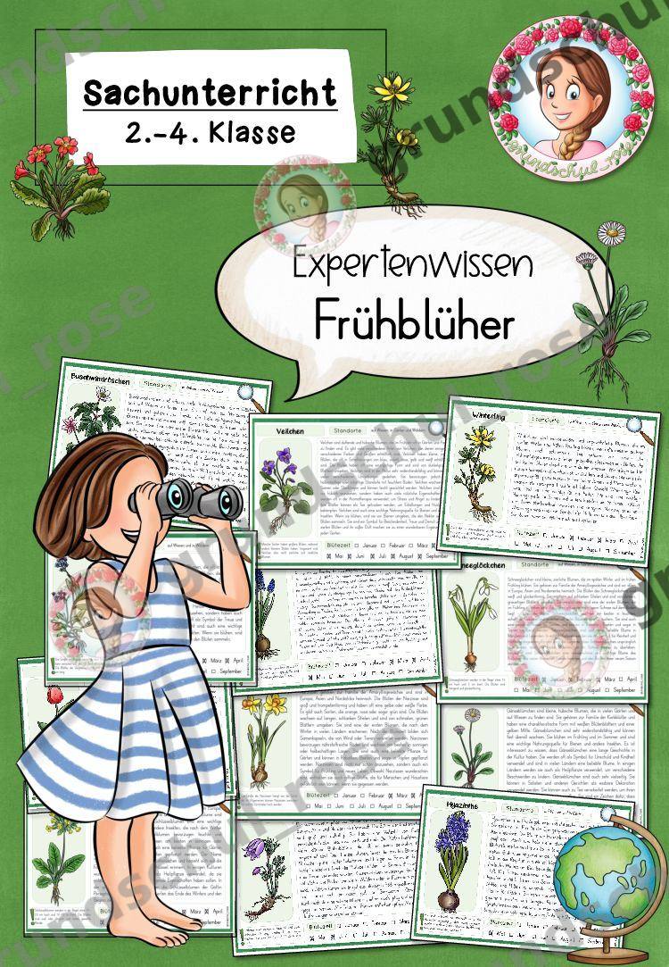 Materialvorschau, Seite 1