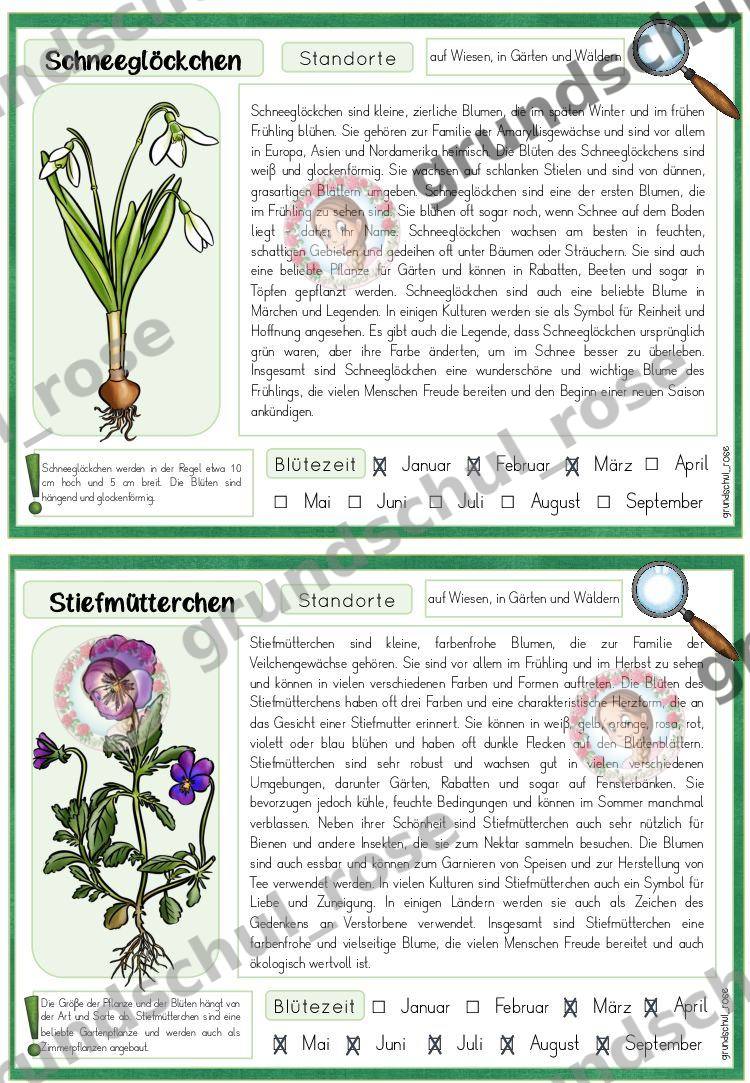 Materialvorschau, Seite 10
