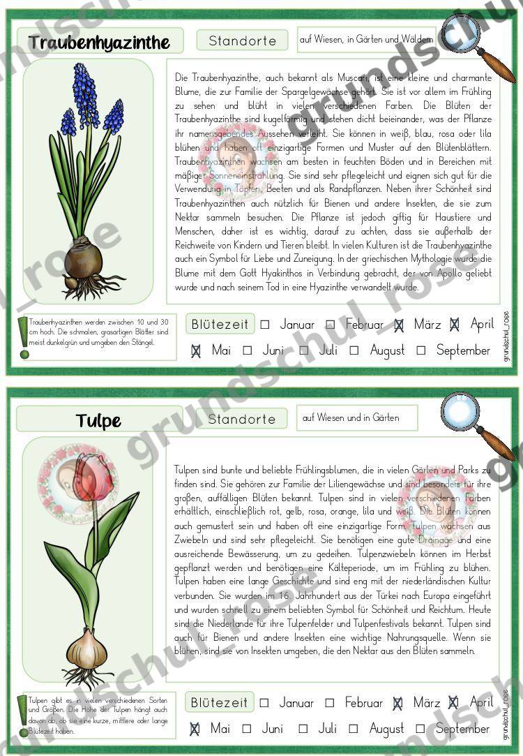 Materialvorschau, Seite 11
