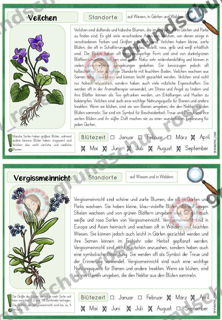 Materialvorschau, Seite 12