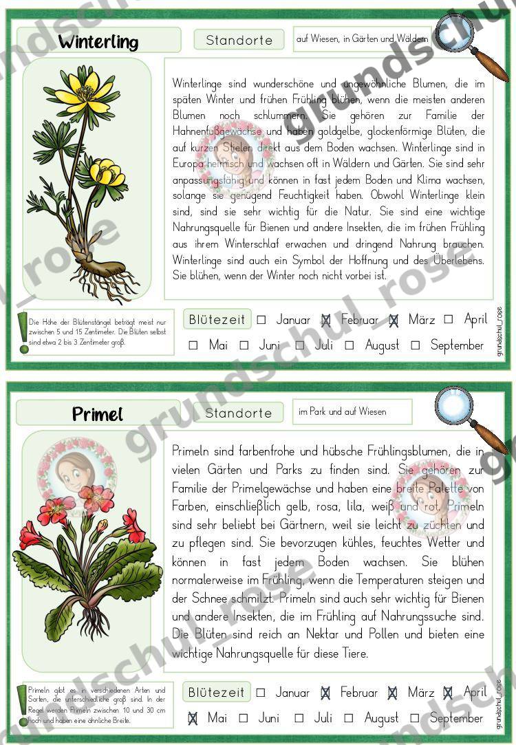 Materialvorschau, Seite 13