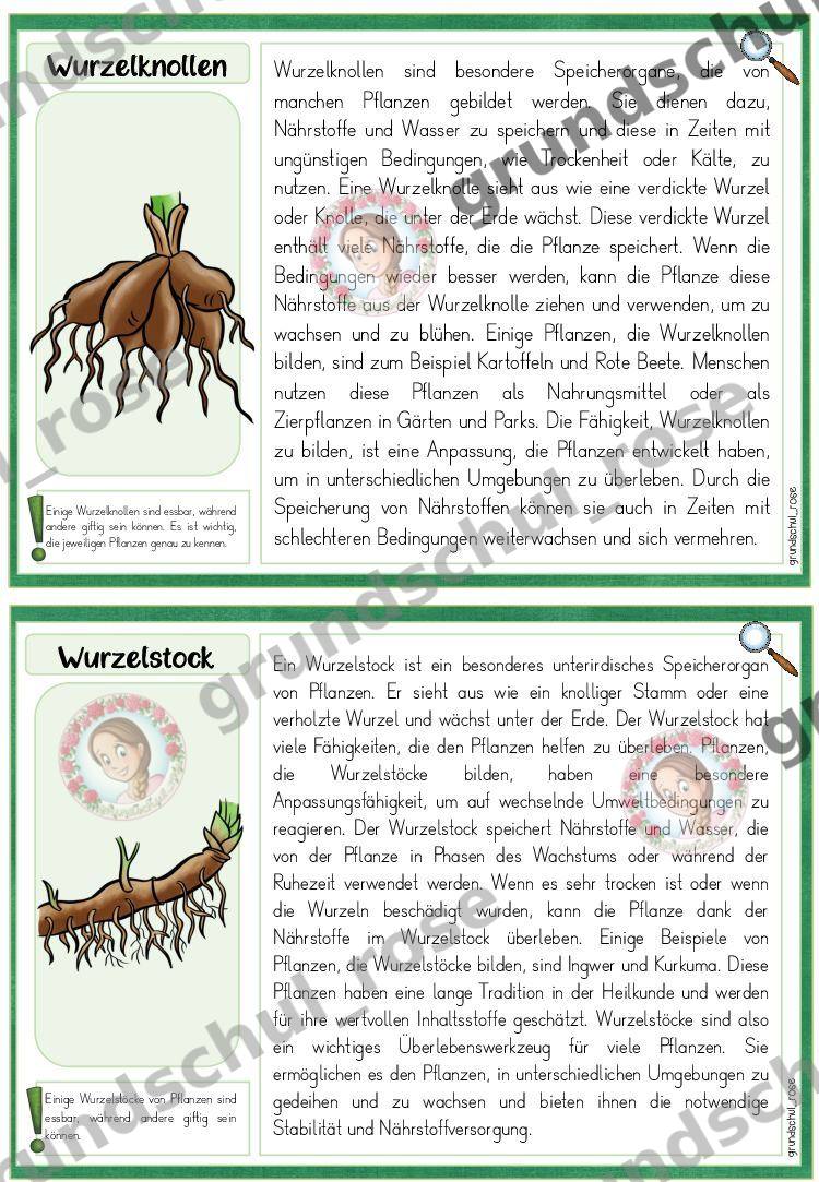 Materialvorschau, Seite 14