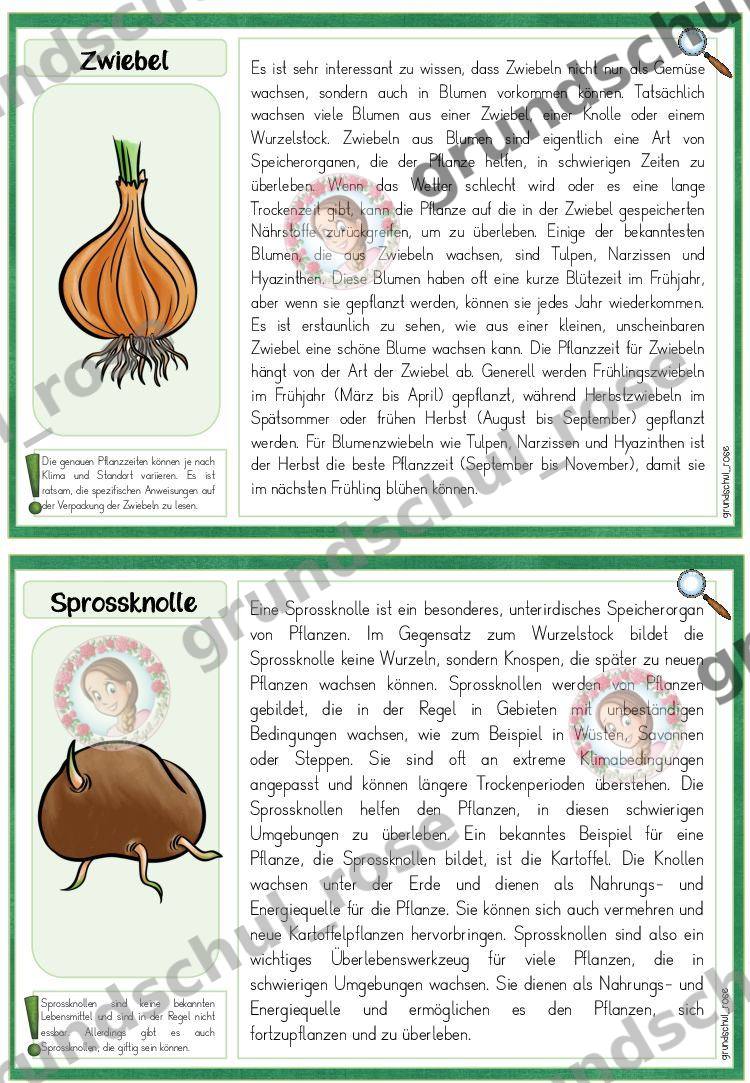 Materialvorschau, Seite 15