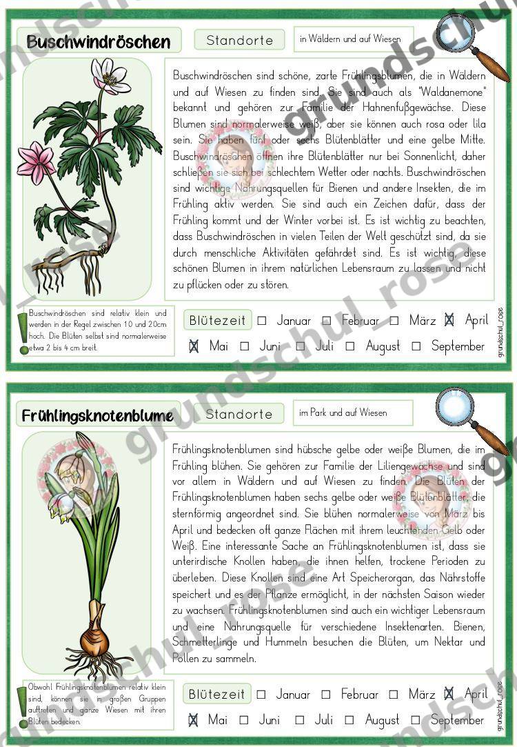 Materialvorschau, Seite 5