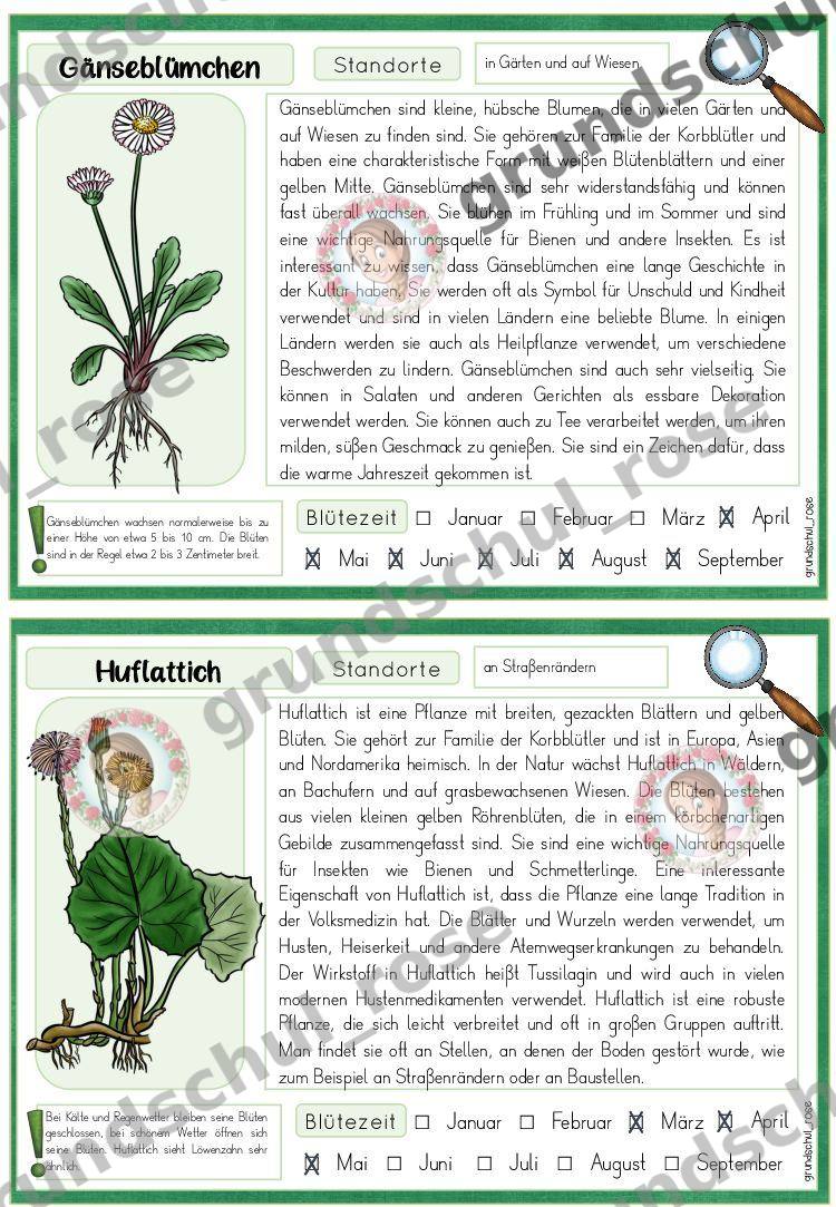 Materialvorschau, Seite 6