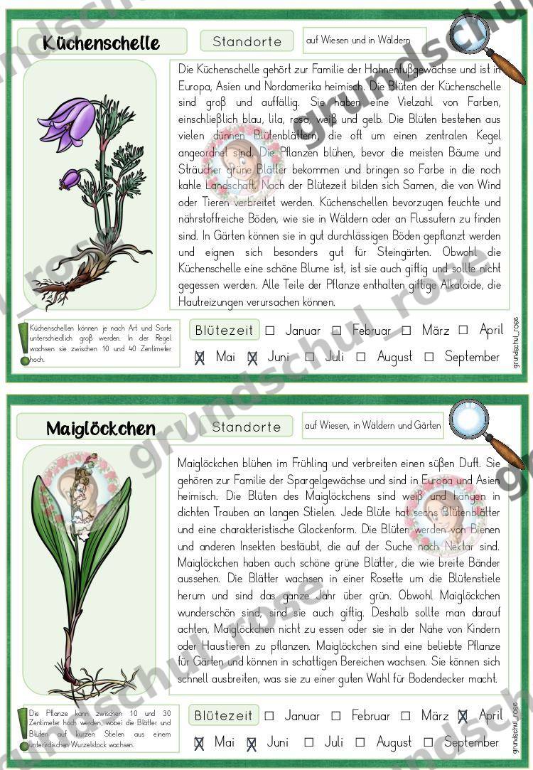 Materialvorschau, Seite 8
