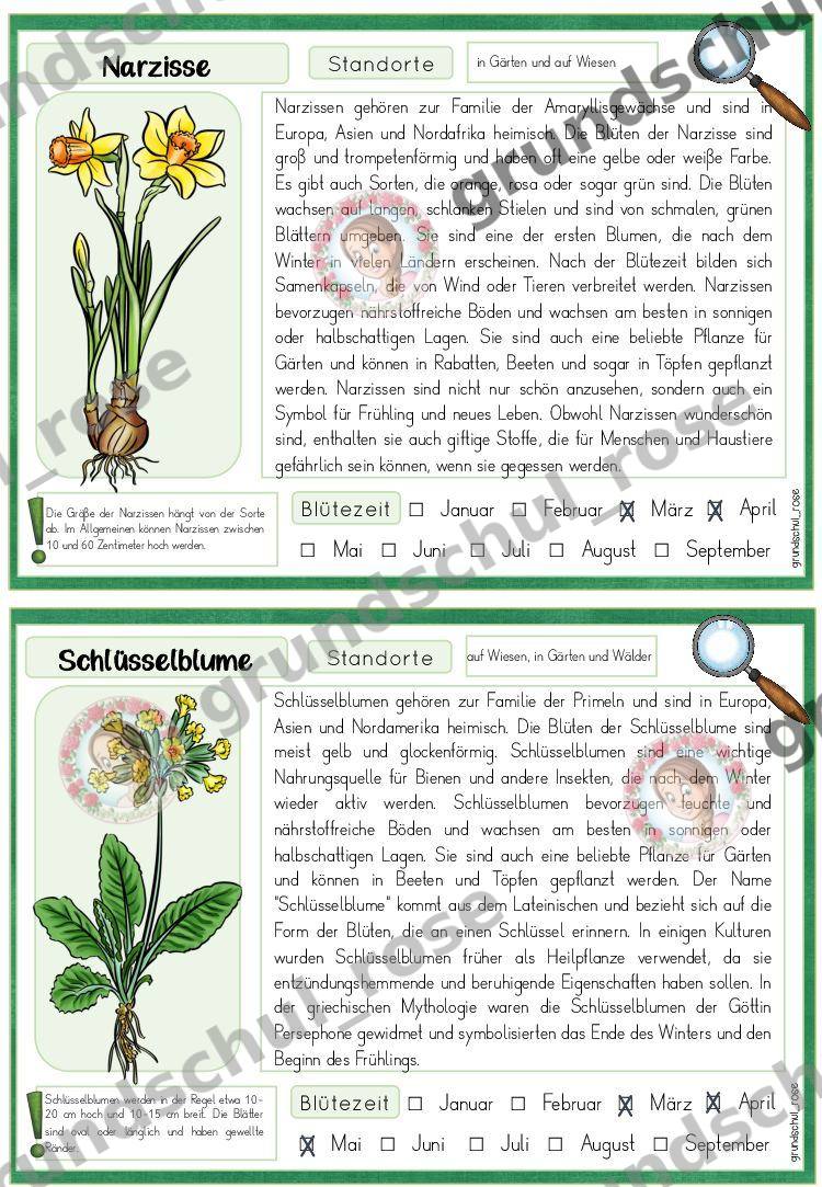 Materialvorschau, Seite 9