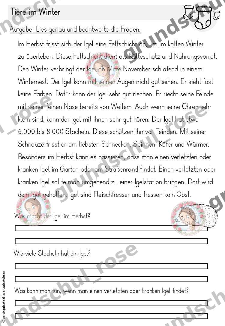 Materialvorschau, Seite 100