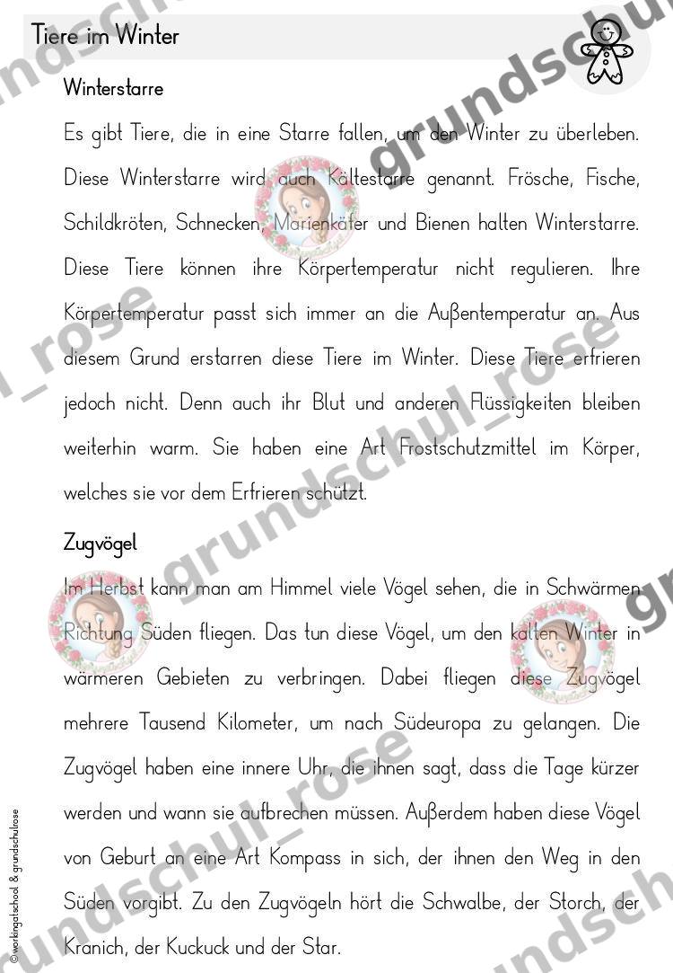 Materialvorschau, Seite 58