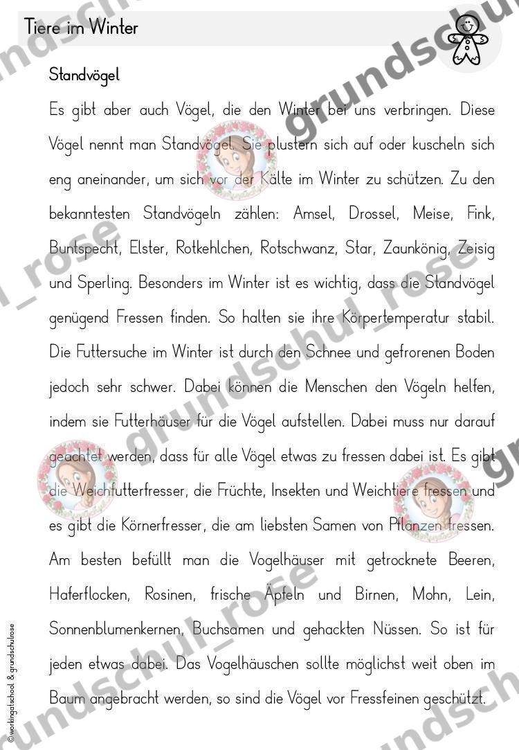 Materialvorschau, Seite 59