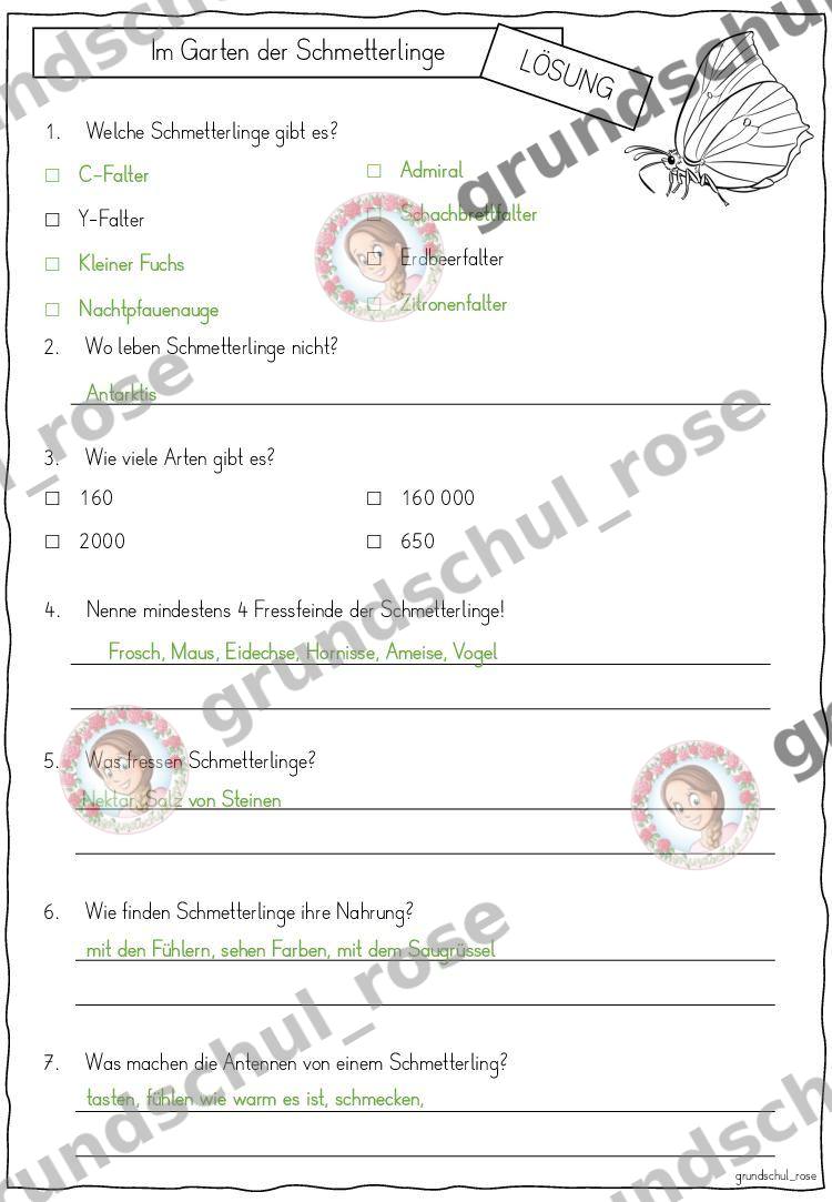 Materialvorschau, Seite 10