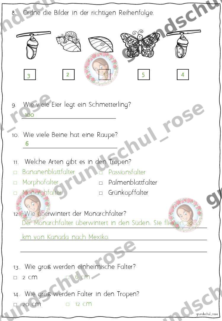 Materialvorschau, Seite 11