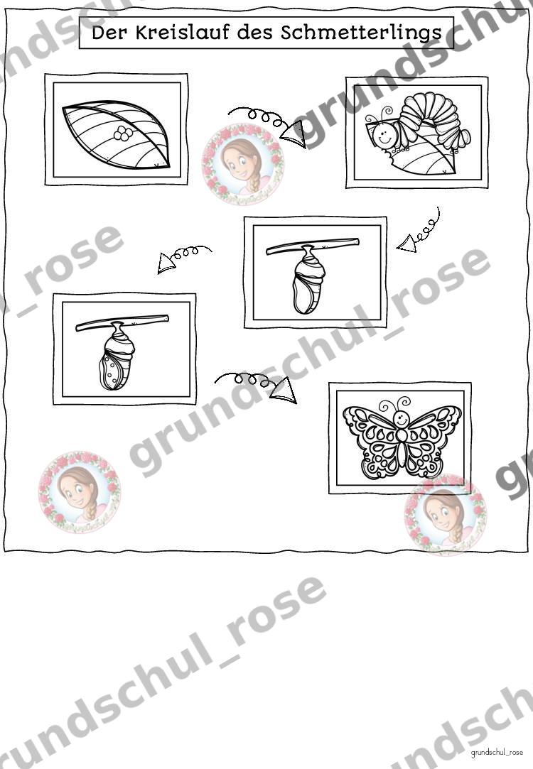 Materialvorschau, Seite 12