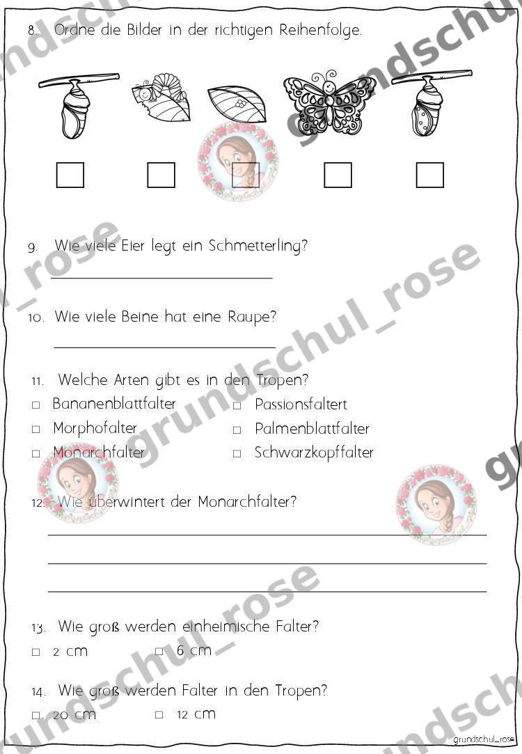 Materialvorschau, Seite 17