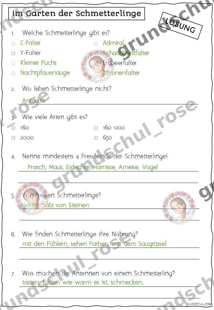 Materialvorschau, Seite 20