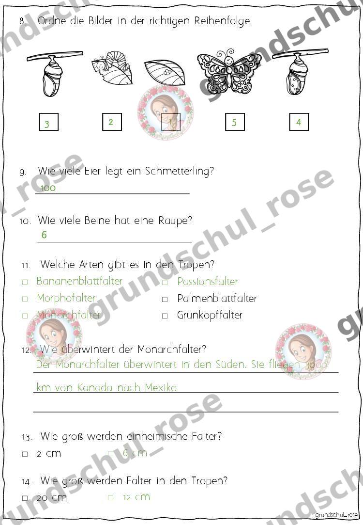 Materialvorschau, Seite 21