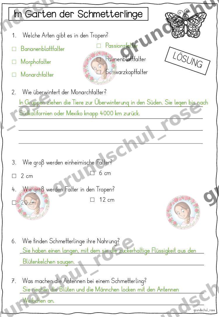 Materialvorschau, Seite 5