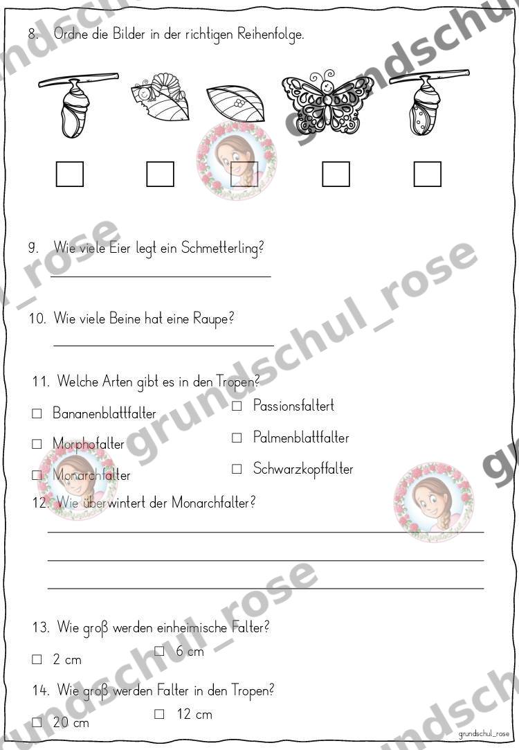 Materialvorschau, Seite 7