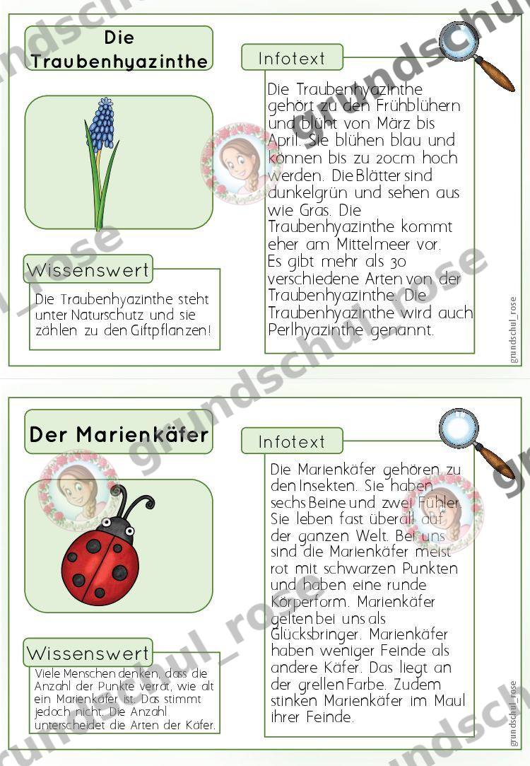 Materialvorschau, Seite 11