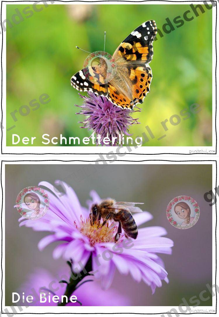 Materialvorschau, Seite 12