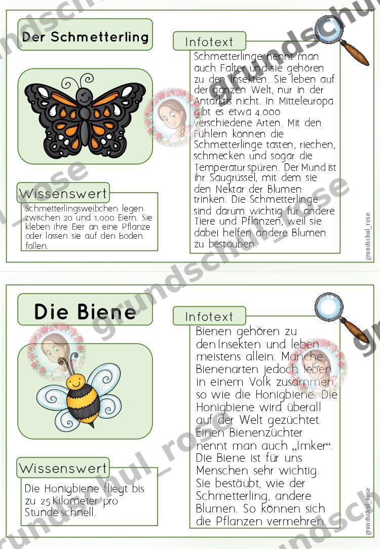 Materialvorschau, Seite 13