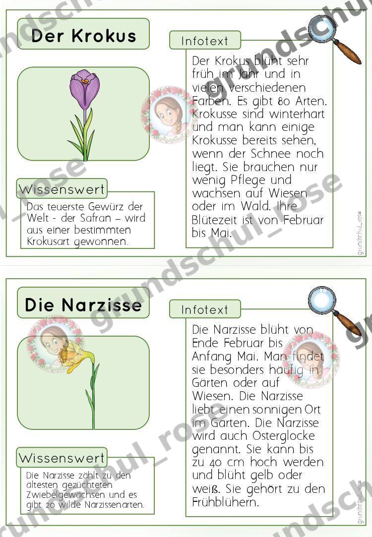 Materialvorschau, Seite 5