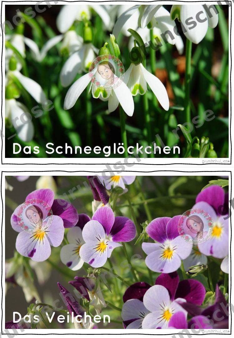 Materialvorschau, Seite 6