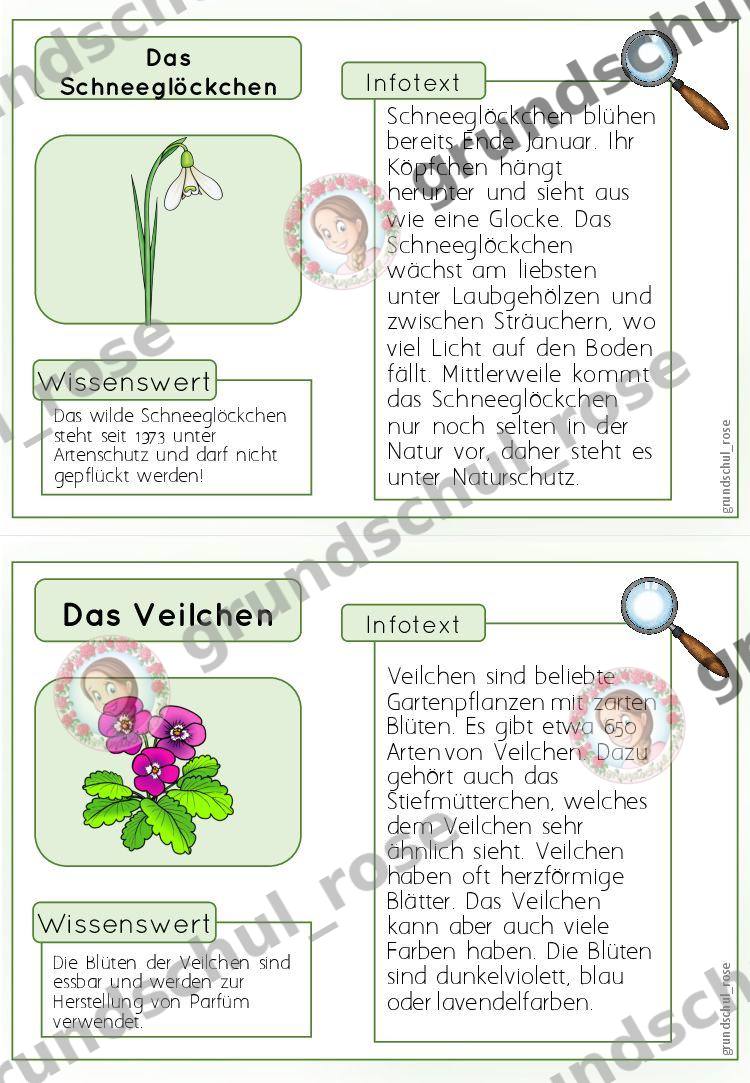 Materialvorschau, Seite 7