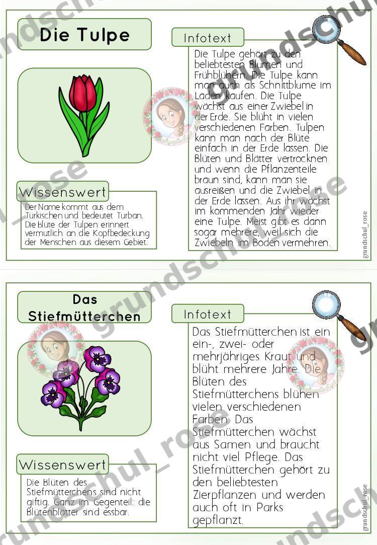 Materialvorschau, Seite 9