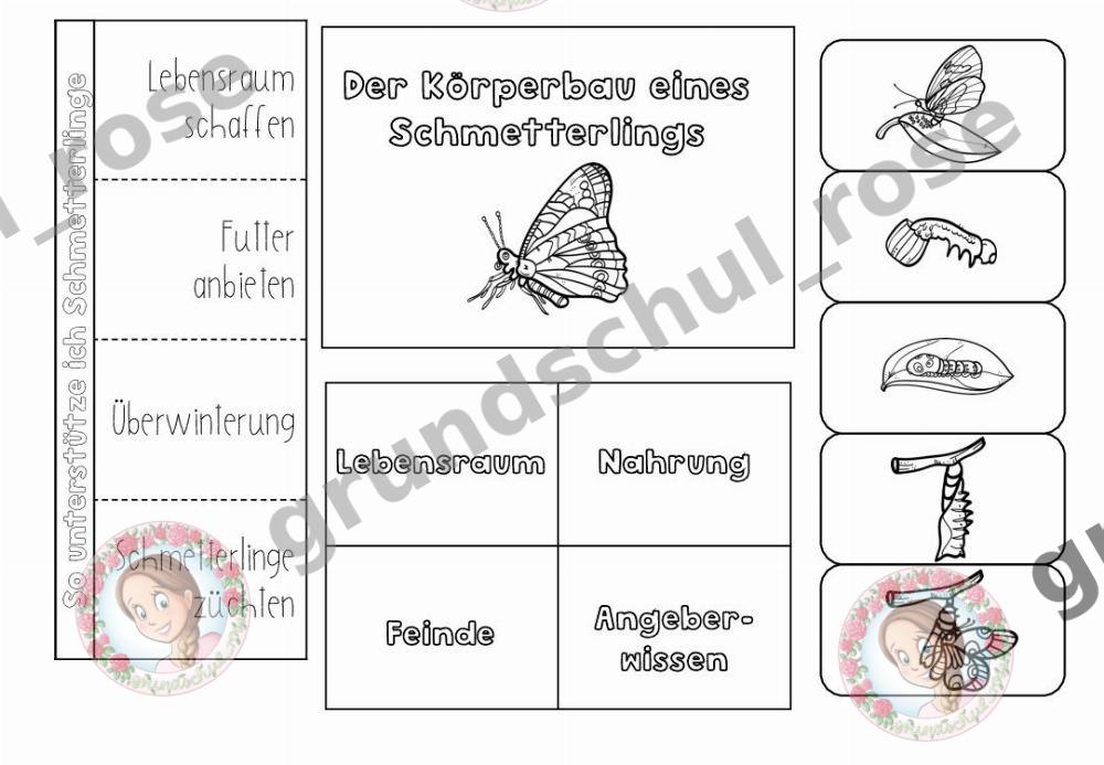 Materialvorschau, Seite 2