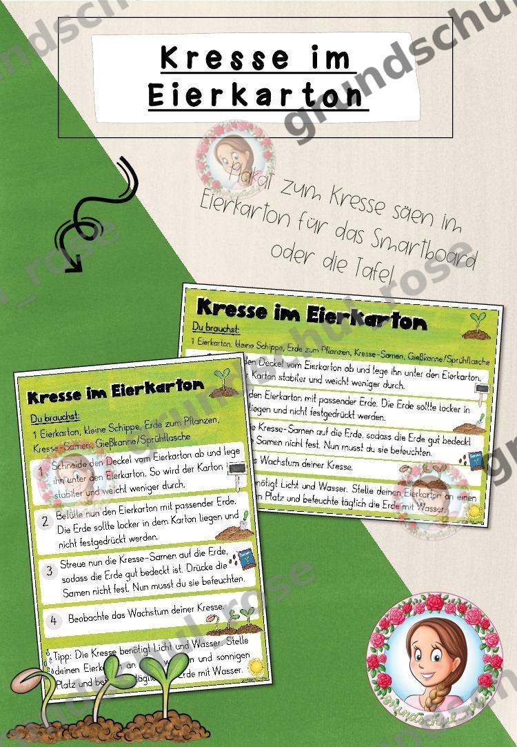 Materialvorschau, Seite 1