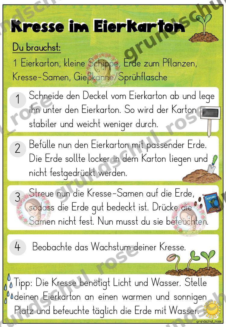 Materialvorschau, Seite 4