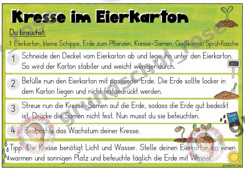 Materialvorschau, Seite 5