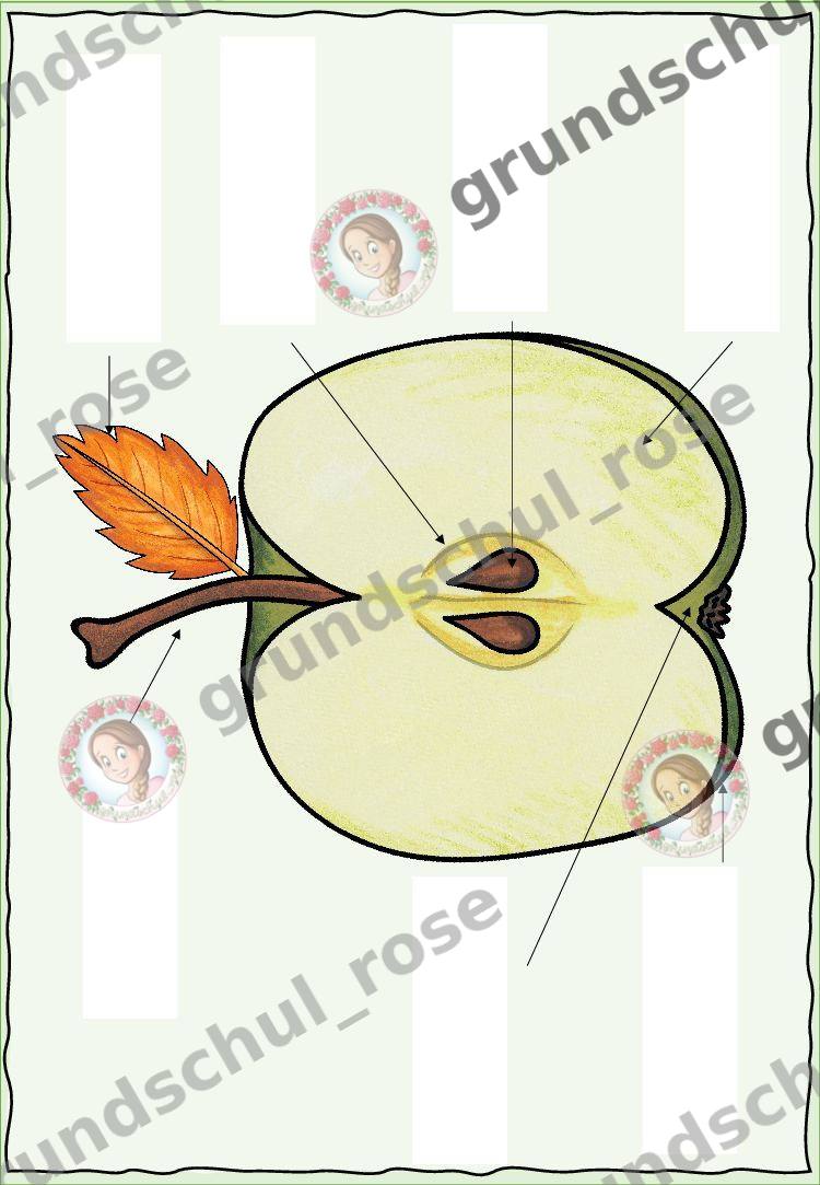 Materialvorschau, Seite 13