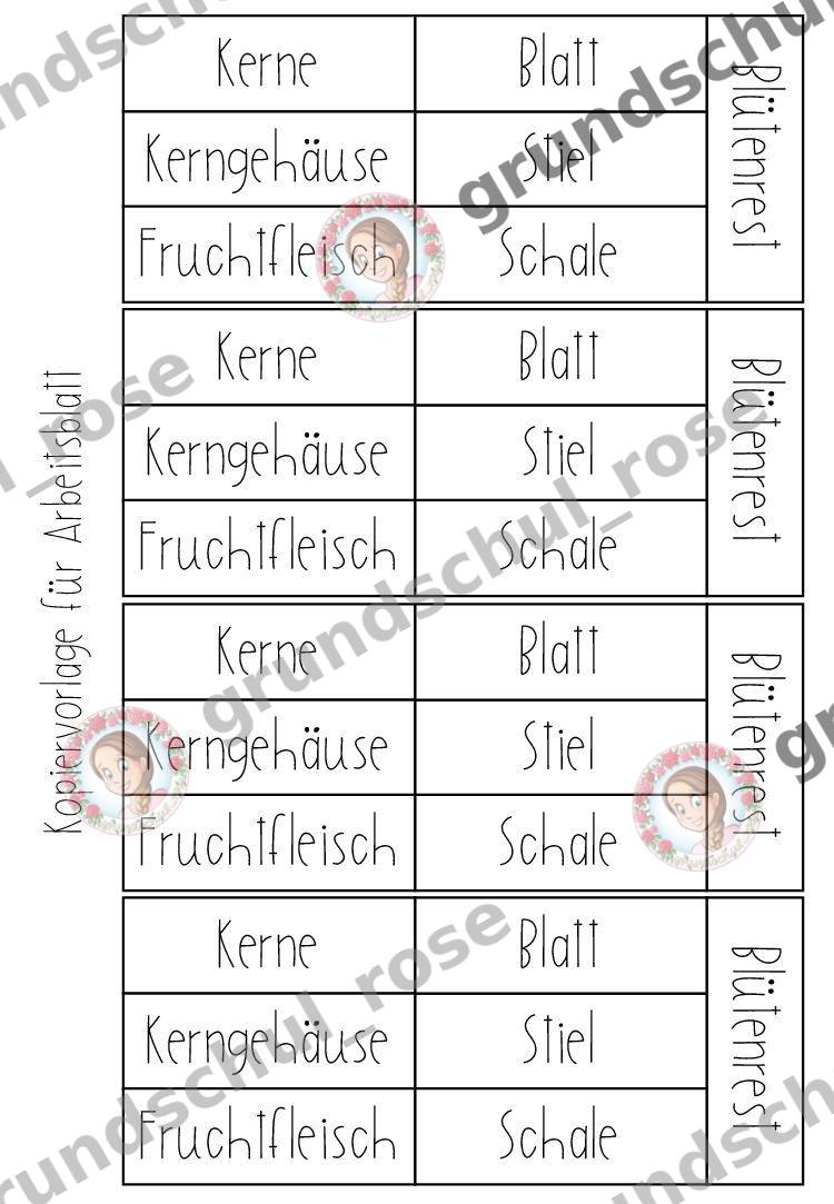 Materialvorschau, Seite 15