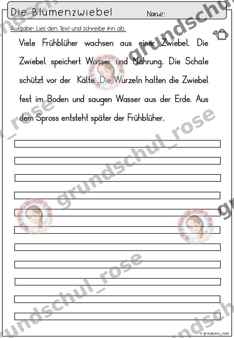 Materialvorschau, Seite 34