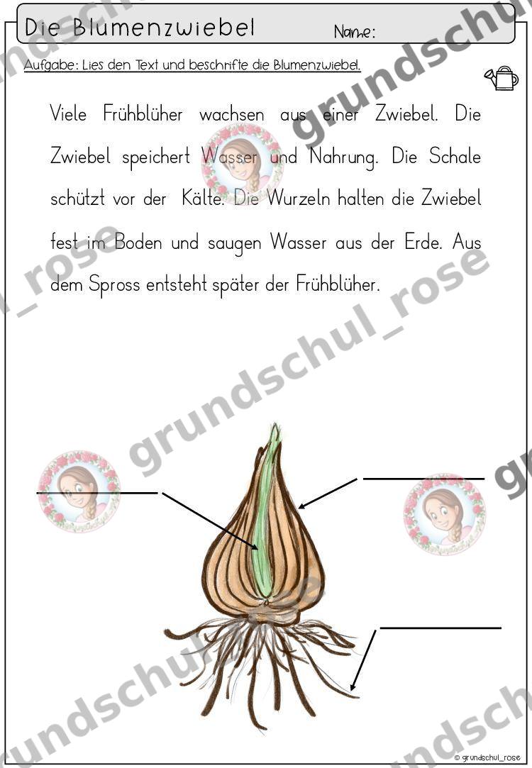 Materialvorschau, Seite 35