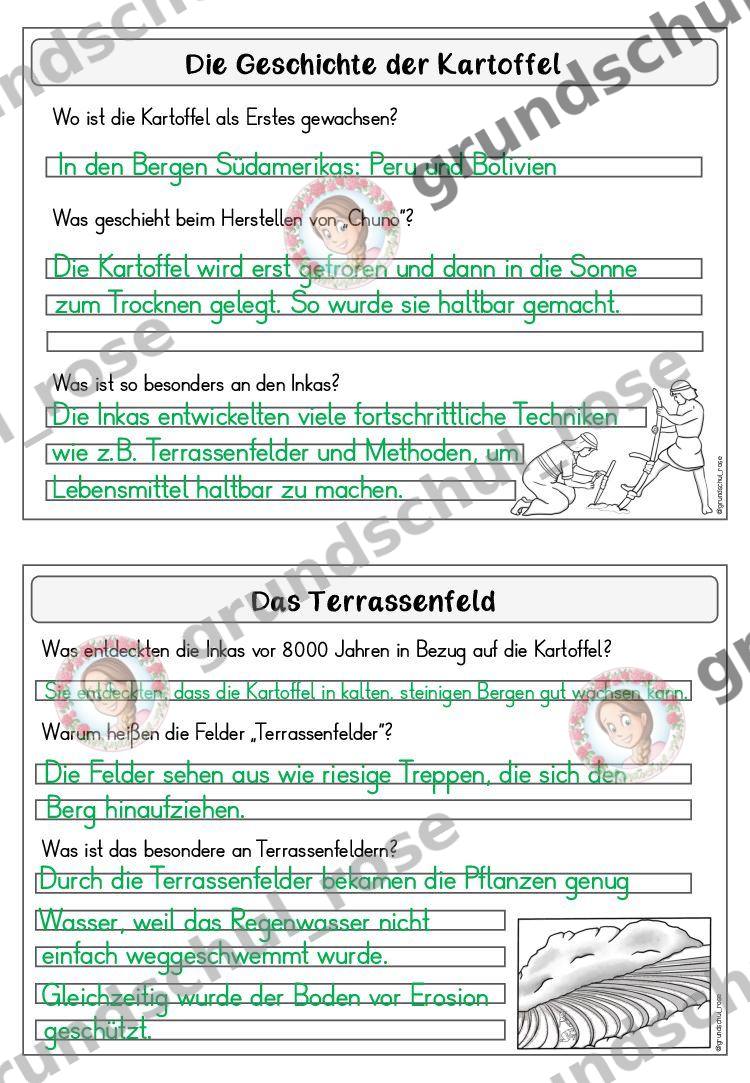 Materialvorschau, Seite 12