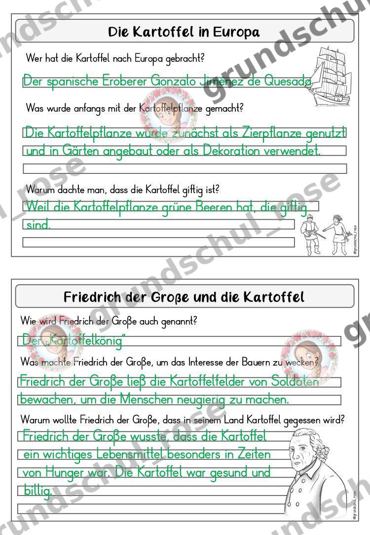 Materialvorschau, Seite 13