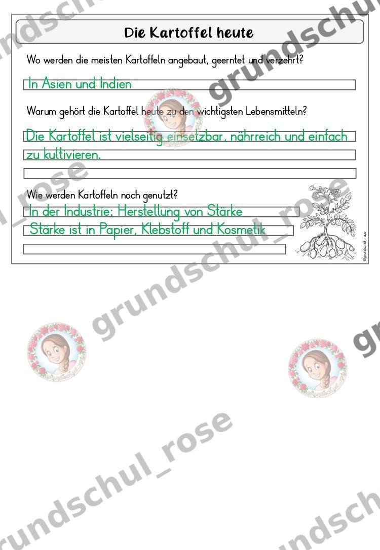 Materialvorschau, Seite 14