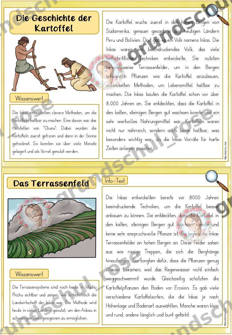 Materialvorschau, Seite 5