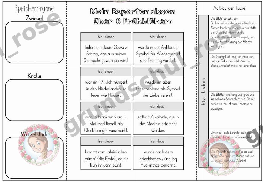 Materialvorschau, Seite 6