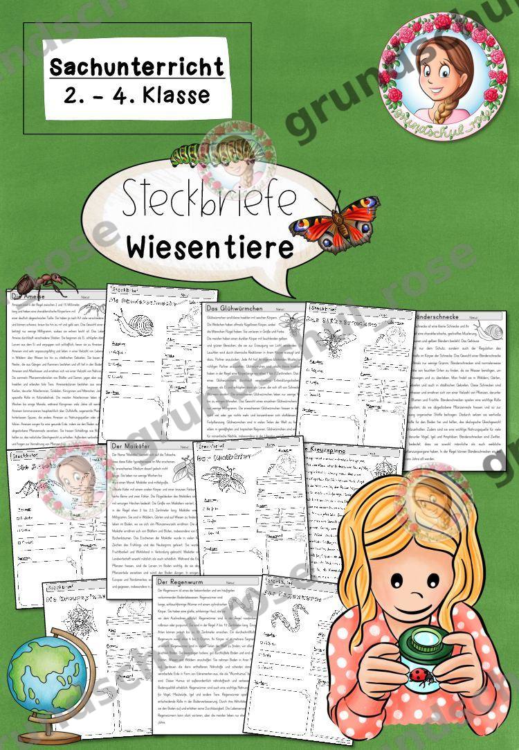 Materialvorschau, Seite 1