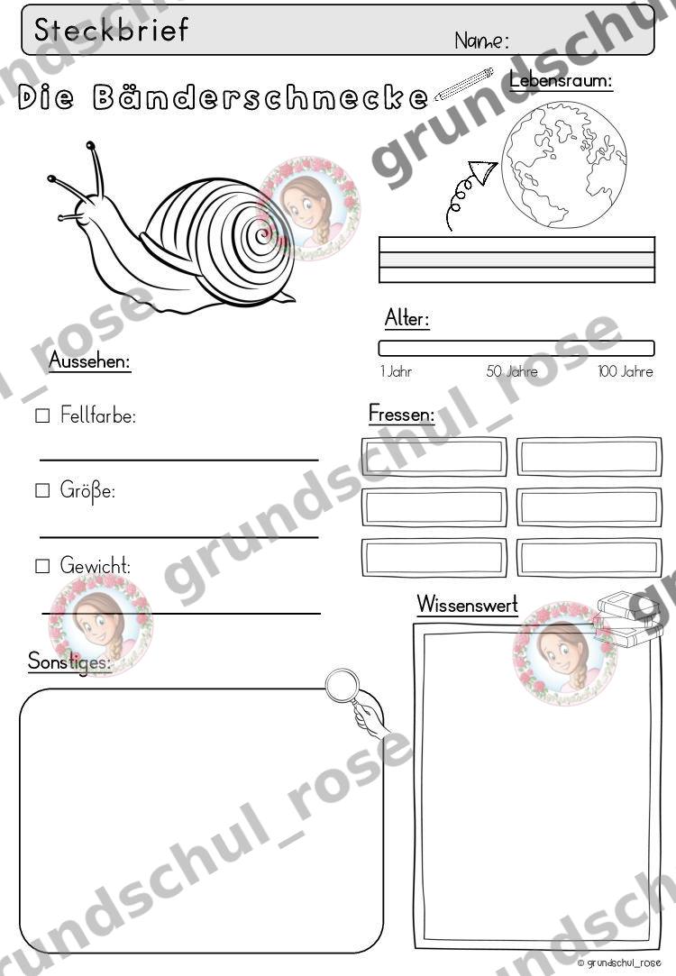 Materialvorschau, Seite 12